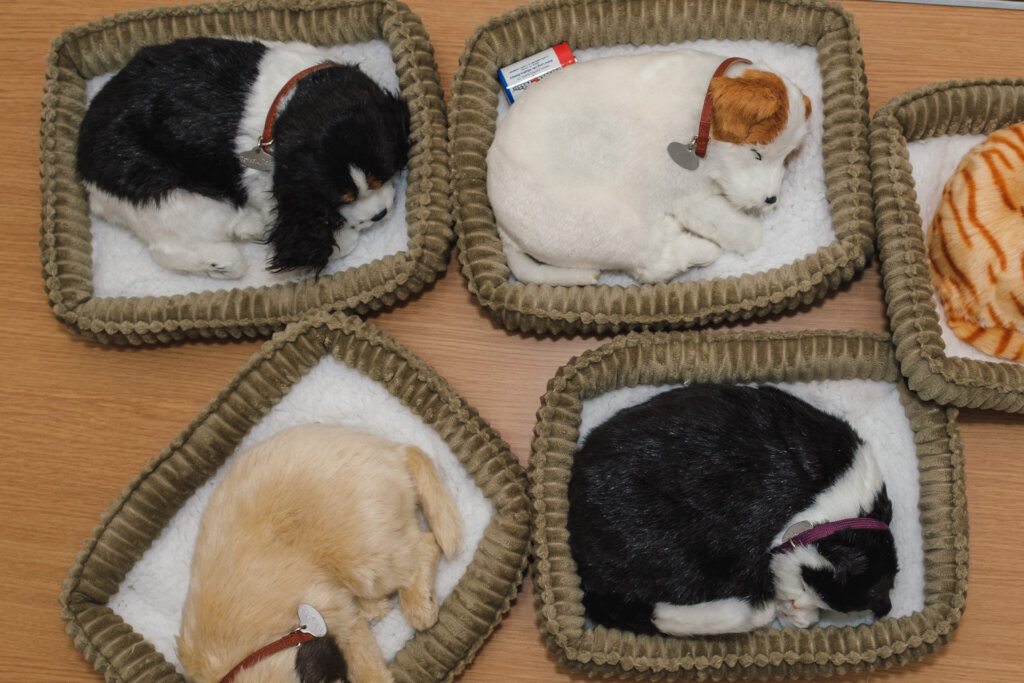 Woofy the Jack Russell and friends!