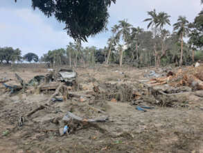 Tonga Tsunami Damage