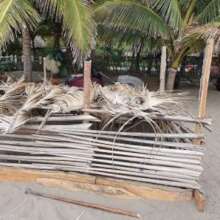 Nesting sanctuary