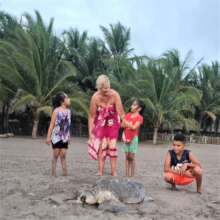 Mother turle layinig eggs last year