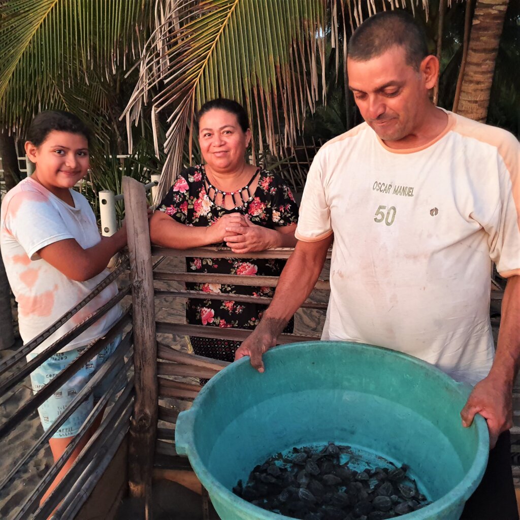 Saving Turtles in El Salvador - La Palapa Project