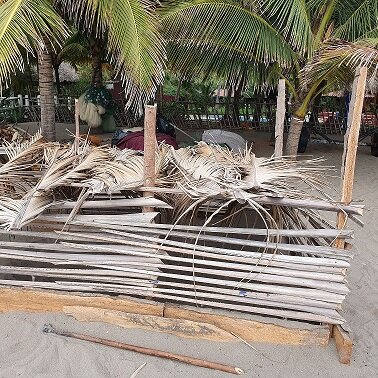 Saving Turtles in El Salvador - La Palapa Project
