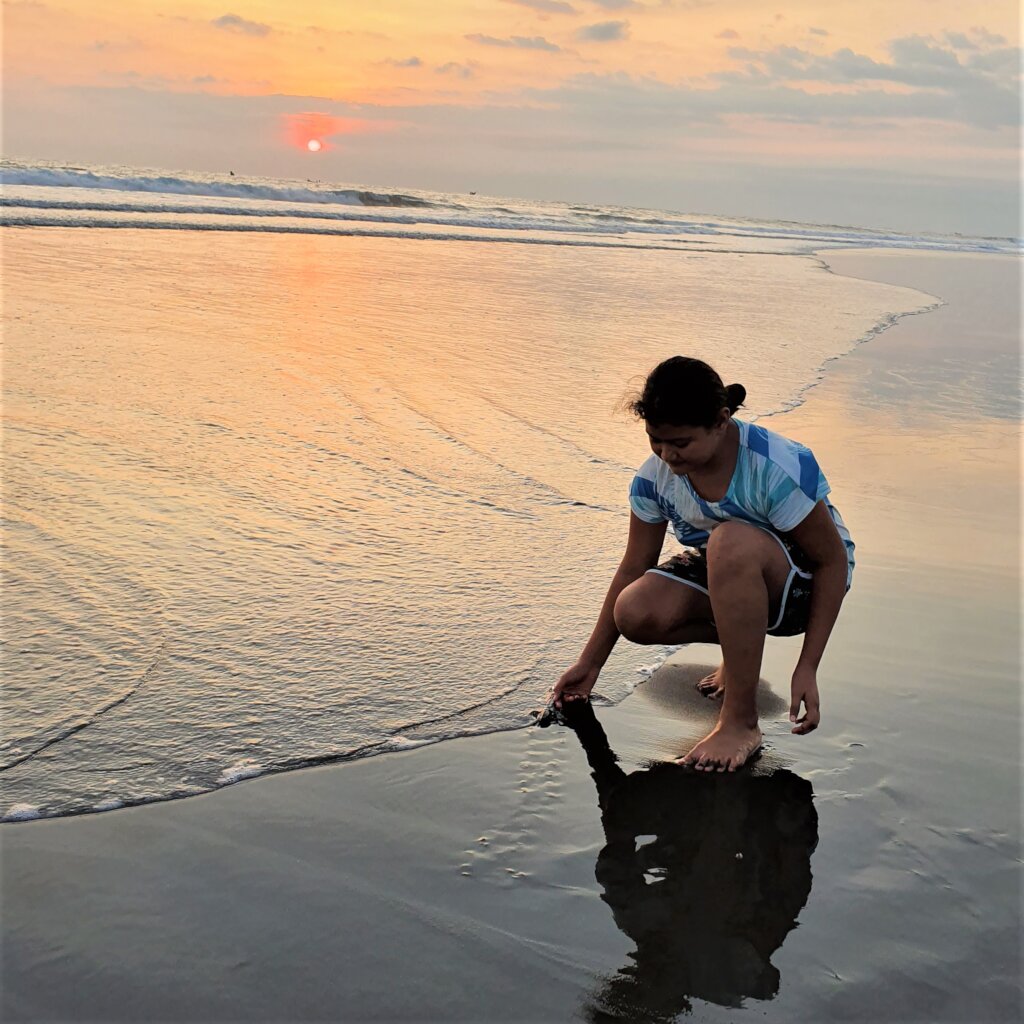 Saving Turtles in El Salvador - La Palapa Project
