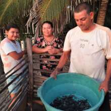 Rueben and family with baby turtles