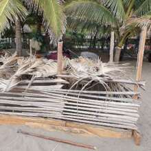 Nesting site