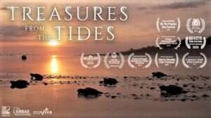 Treasures from the Tides