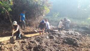 Water restoration actions
