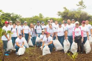 collecting plastics