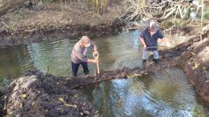 restoring hydrology