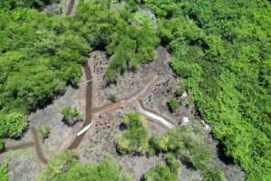 Aerial image of the planting area