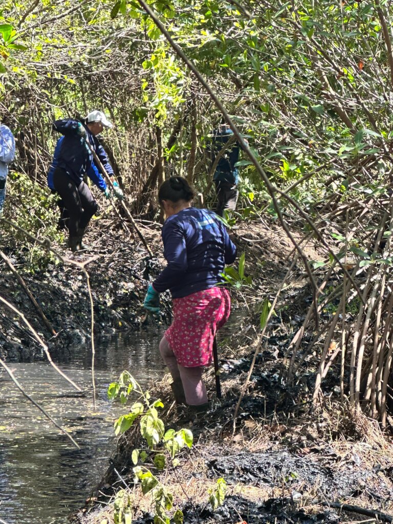 Women and Mangroves