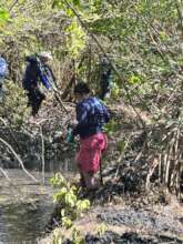 Women and Mangroves