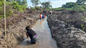 Desilting of canals