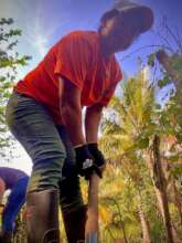 employment and human effort