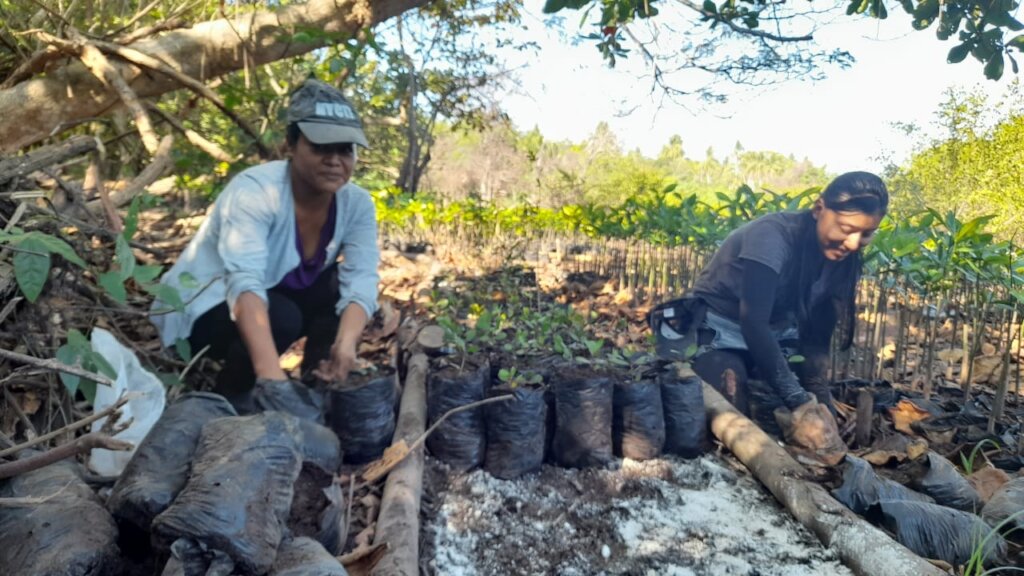 Women Restoring Life to the Mangroves