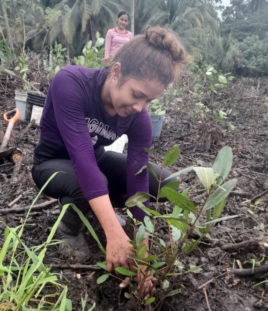 Women Restoring Life to the Mangroves