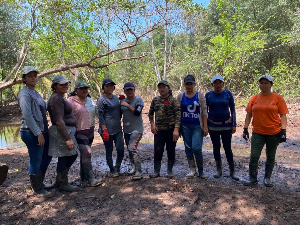 Women Restoring Life to the Mangroves