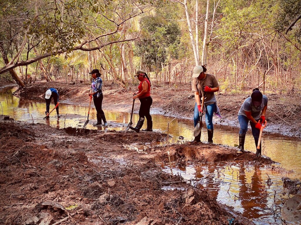 Women Restoring Life to the Mangroves