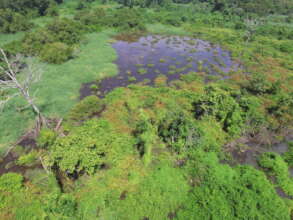 potential restoration area