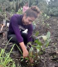 Woman planting a mangrove sapling