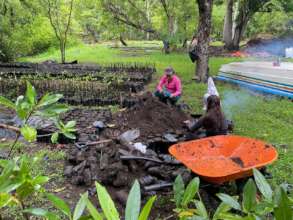 Mangrove Nursery Preparation