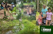 Women Restoring Life to the Mangroves