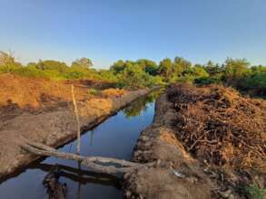 waterway restored