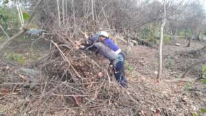 weed cutting