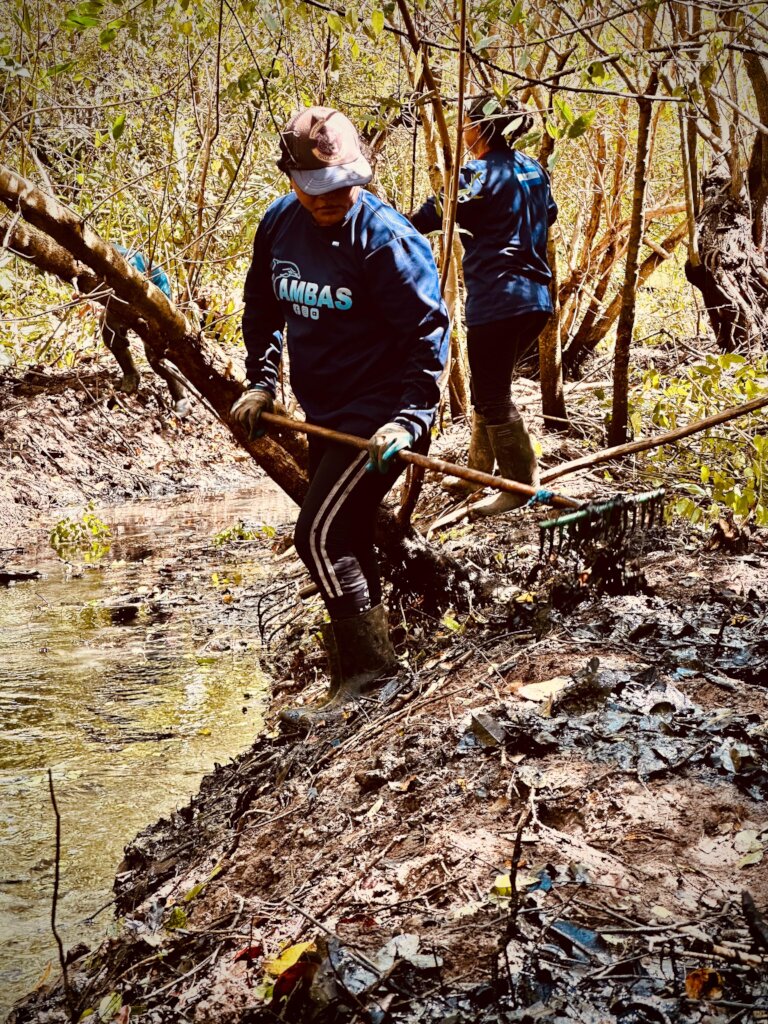 women cleaning