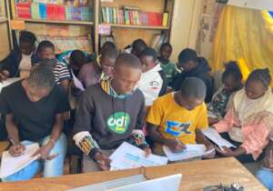 Mentoring activities