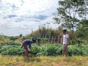 growing food
