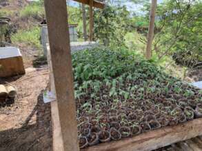 Food production via gardening