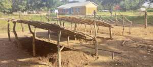 The Tree Nursery Located in Katakwi Town Council