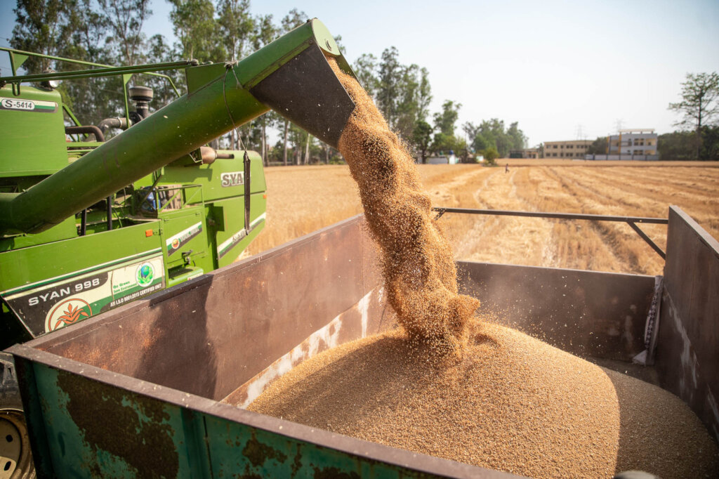 Northern Field Fencing Project