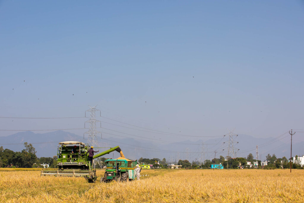 Northern Field Fencing Project