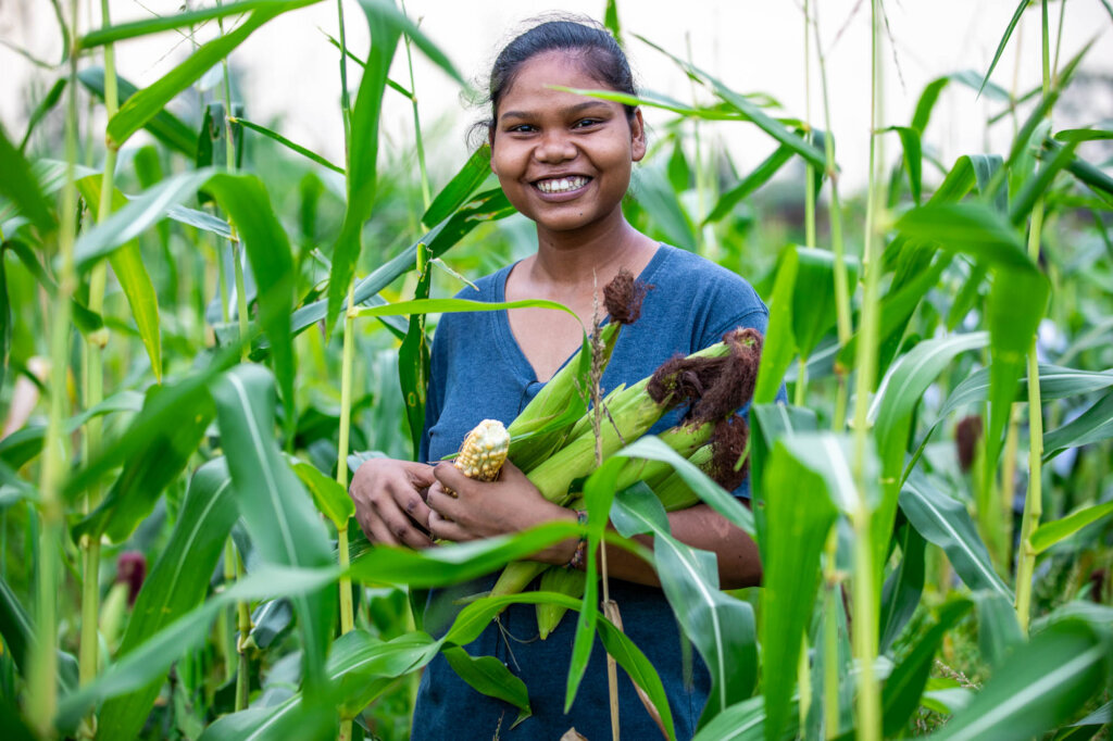 Northern Field Fencing Project