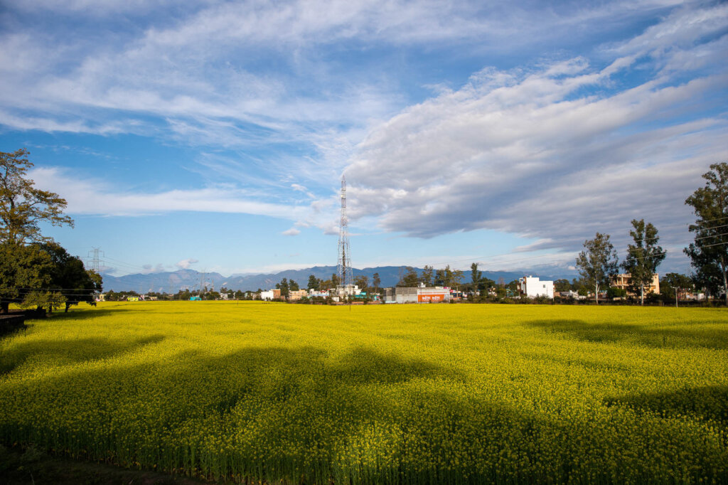 Northern Field Fencing Project