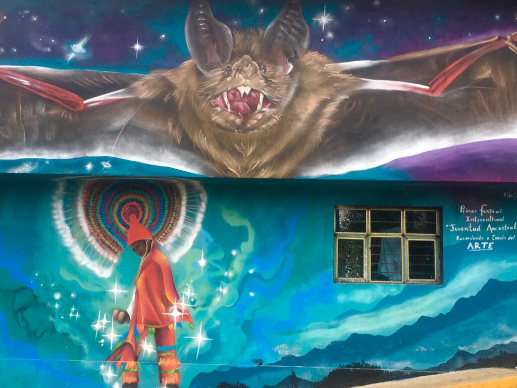 Cultural Collective for the youth in Cuetzalan