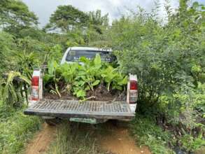 Continue with support