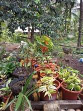 home-based livelihoods