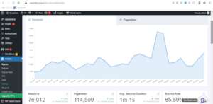 Visit statistics of our site in May