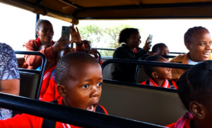 Faces of spotting the elephant