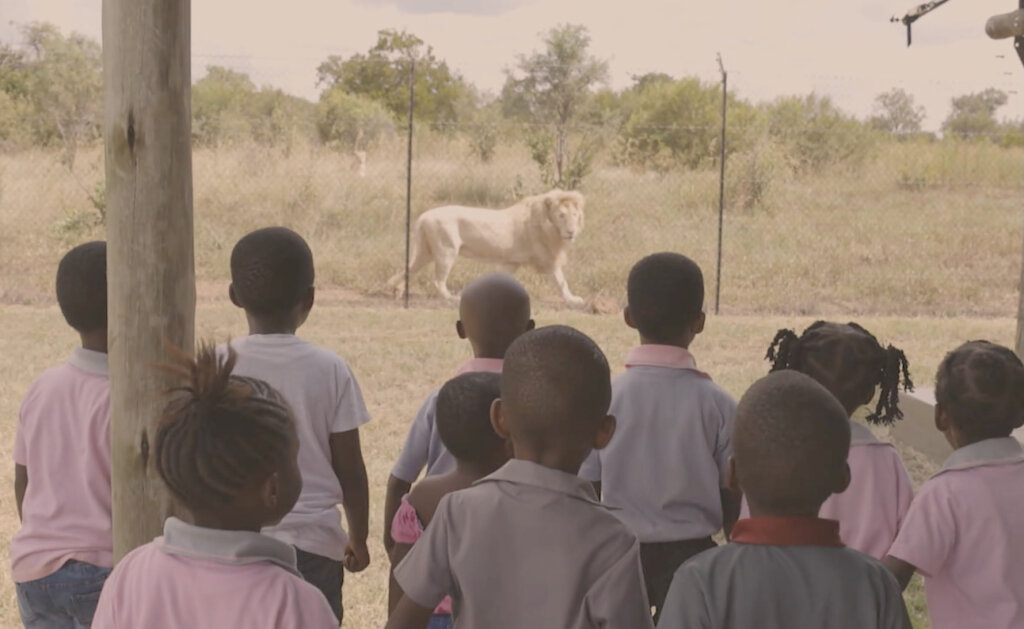 Help children in rural South Africa see wildlife