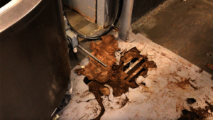 Termite infested floor before refurbishment