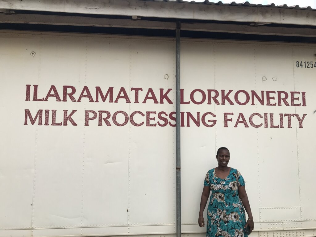 Empower Maasai Women & Rejuvenate Terat Dairy