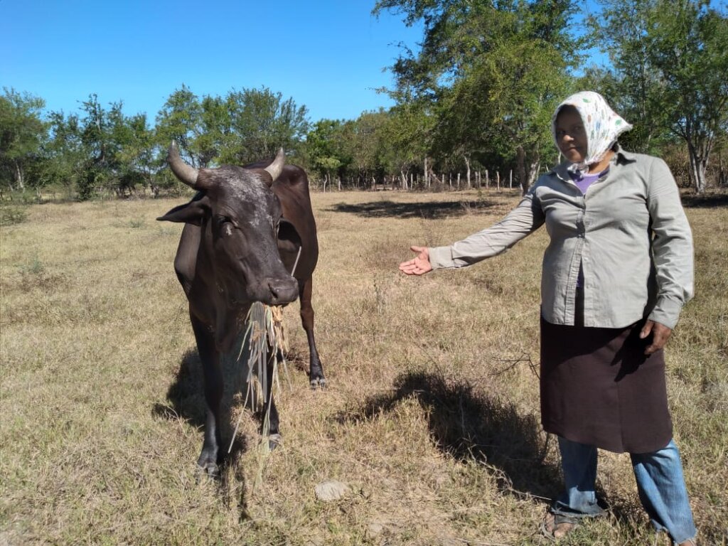 Support communities  recovering from COVID-19