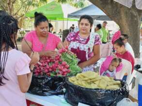 Organic Vegetable Market