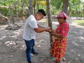 Chicken vaccination