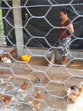 Chicken coop
