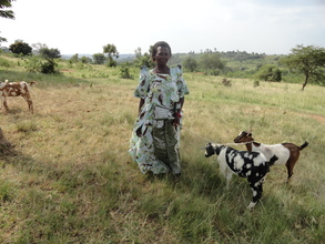 Ainembabazi with her goats